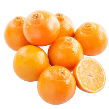 Minneola